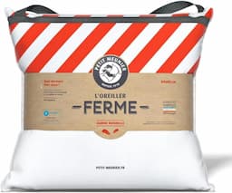 Petit Meunier Oreiller Ferme 60x60 — plumettes de canard françaises