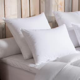DODO 65x65 Medium — 90 % duvet d'oie, savoir-faire français