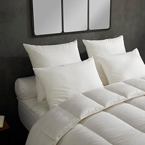 DODO Micro Douceur lot de 2 oreillers moelleux 60x60